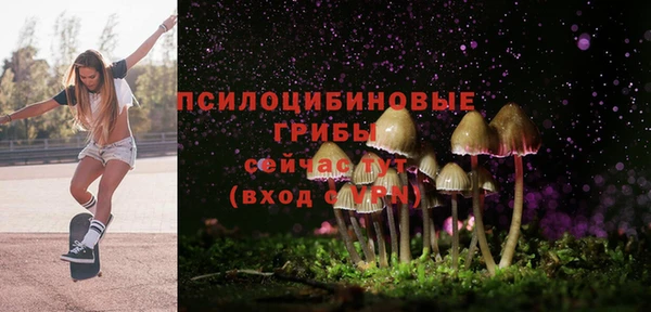 хмурый Кулебаки