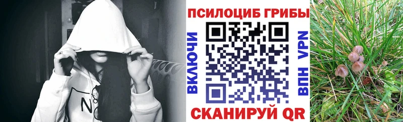 купить наркотик  Балаково  Галлюциногенные грибы Cubensis 