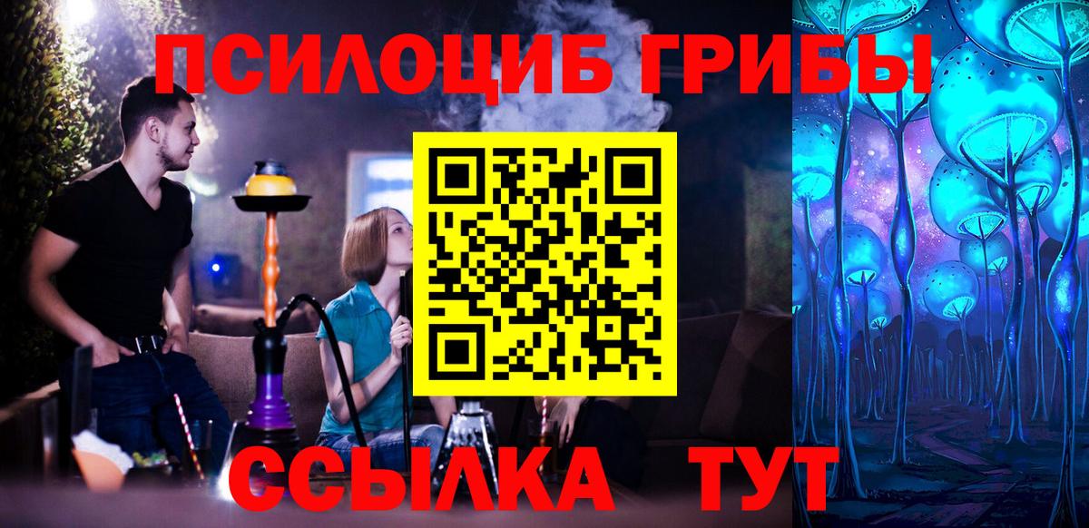 Псилоцибиновые грибы Cubensis  Балаково  Псилоцибиновые грибы Cubensis 