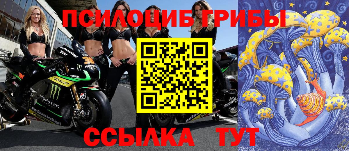 Галлюциногенные грибы мицелий  Псилоцибиновые грибы MAGIC MUSHROOMS  Балаково  Вход с VPN 